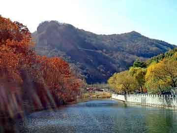 新澳天天开奖资料大全旅游团，长春阳光板